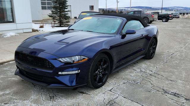 Image - 2019 Ford Mustang EcoBoost