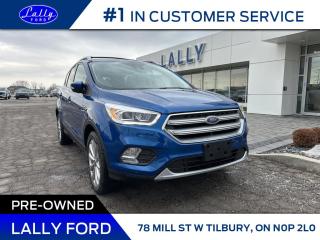 The 2017 Ford Escape Titanium, equipped with All-Wheel Drive (AWD), delivers enhanced traction and stability for a confident driving experience. Its sleek design is complemented by a panoramic moonroof, adding a touch of openness to the cabin. The Titanium trim also features a navigation system, providing seamless guidance for journeys. This combination of AWD capability, a panoramic moonroof, and advanced navigation makes the 2017 Escape Titanium a versatile and stylish choice for those seeking both performance and convenience.