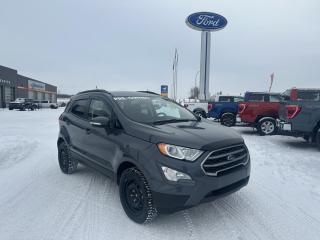 Used 2022 Ford EcoSport SE for sale in Drayton Valley, AB