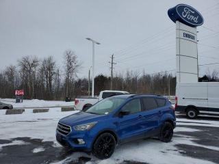 Used 2019 Ford Escape SE for sale in Embrun, ON