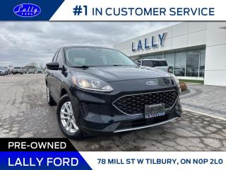 Used 2021 Ford Escape SE, AWD, Nav, One Owner!! for sale in Tilbury, ON