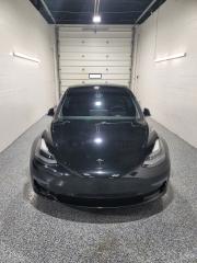 2021 Tesla Model 3  - Photo #3