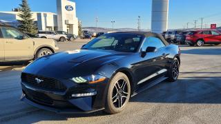 Used 2018 Ford Mustang EcoBoost Premium for sale in Woodstock, NB