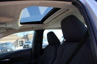 2020 Toyota Corolla LE*Heated Seats*Sun Roof*CarPlay*Rear Cam*1.8L-4cy - Photo #8