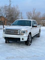 Used 2013 Ford F-150 PLATINUM for sale in Winnipeg, MB