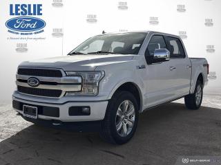 Used 2019 Ford F-150 PLATINUM for sale in Harriston, ON