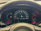 2017 Kia Sorento EX V6 7 Passenger AWD+Remote Start+CLEAN CARFAX Photo90