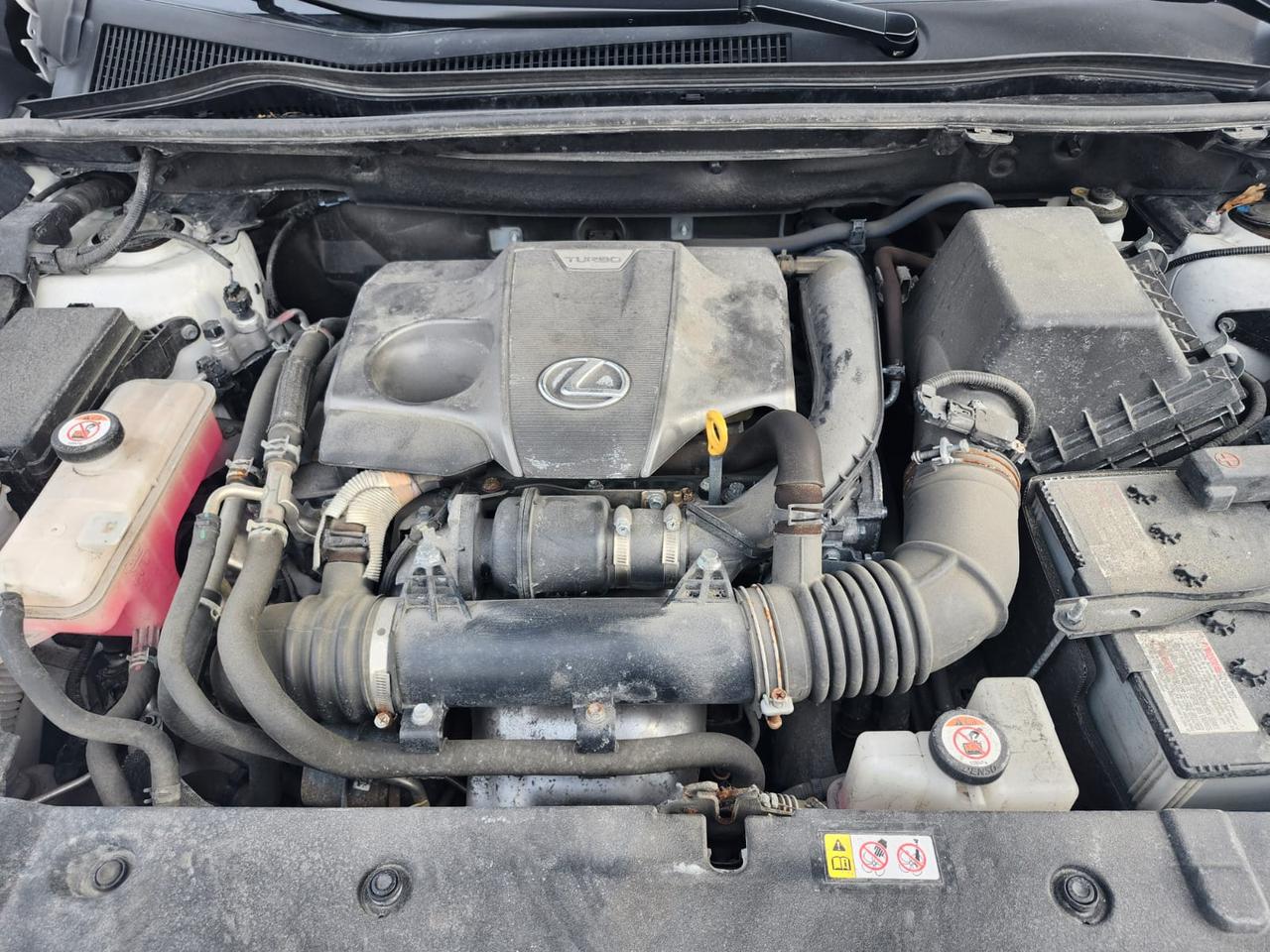 2021 Lexus NX NX 300 AWD Photo