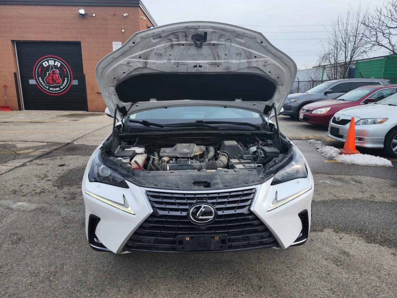 2021 Lexus NX NX 300 AWD Photo