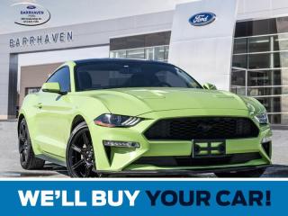 Used 2020 Ford Mustang EcoBoost Premium for sale in Ottawa, ON