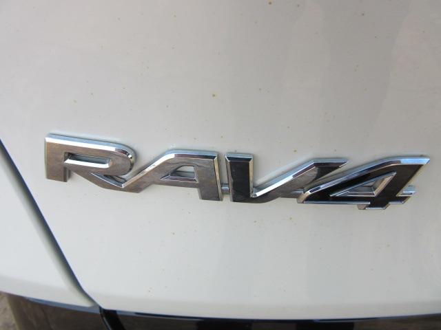 2019 Toyota RAV4 Hybrid XSE Photo