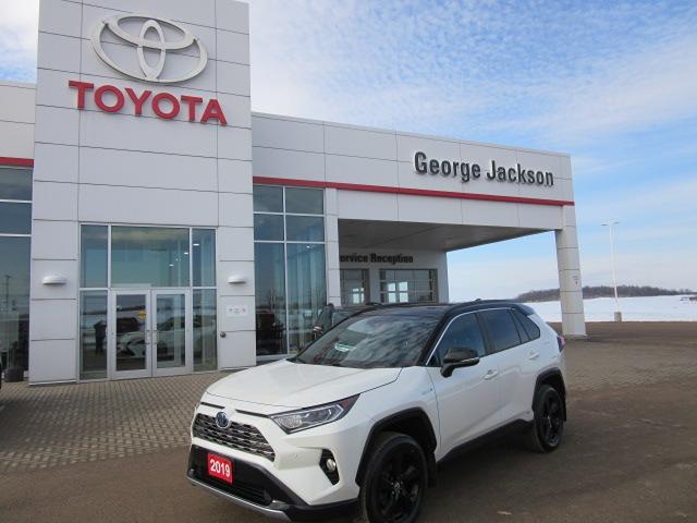 2019 Toyota RAV4 Hybrid XSE Photo0