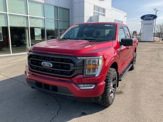 Used 2021 Ford F-150 4x4 Supercrew-145 for sale in Bouctouche, NB