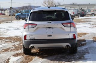 2020 Ford Escape SE Photo