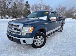 Used 2013 Ford F-150  for sale in Winnipeg, MB