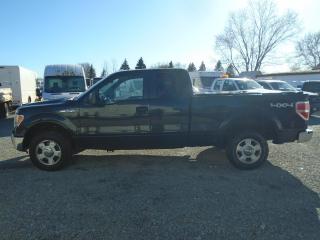 Used 2010 Ford F-150 4WD SuperCab 145  XLT for sale in Fenwick, ON