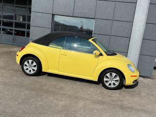 2010 Volkswagen New Beetle CABRIO|LEATHER|PWR TOP|ALLOYS - Photo #2