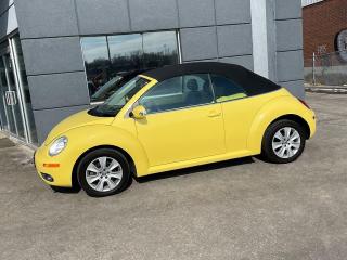 2010 Volkswagen New Beetle CABRIO|LEATHER|PWR TOP|ALLOYS - Photo #8