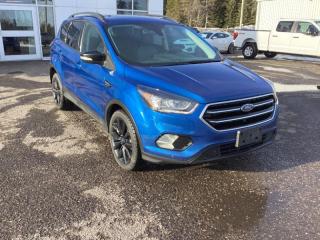 Used 2019 Ford Escape Titanium for sale in Nipigon, ON