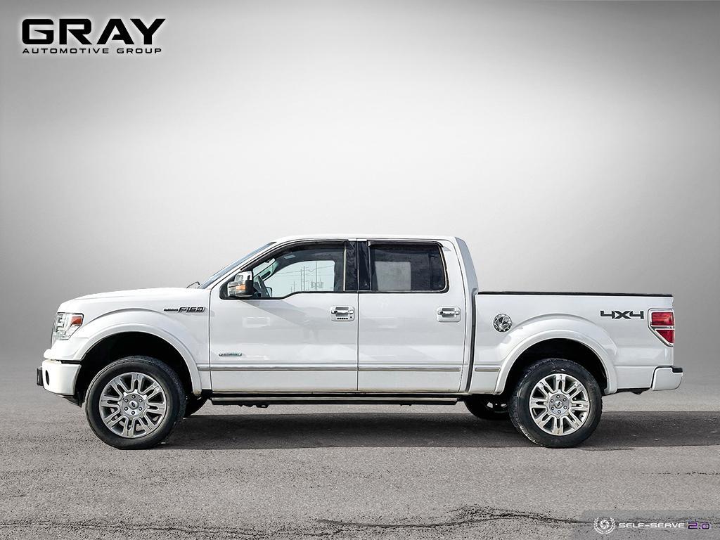 2013 Ford F-150 PLATINUM - Photo #2