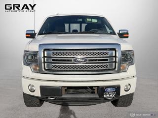 2013 Ford F-150 PLATINUM - Photo #8