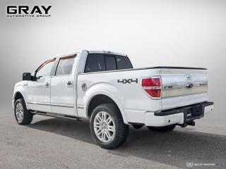 2013 Ford F-150 PLATINUM - Photo #3