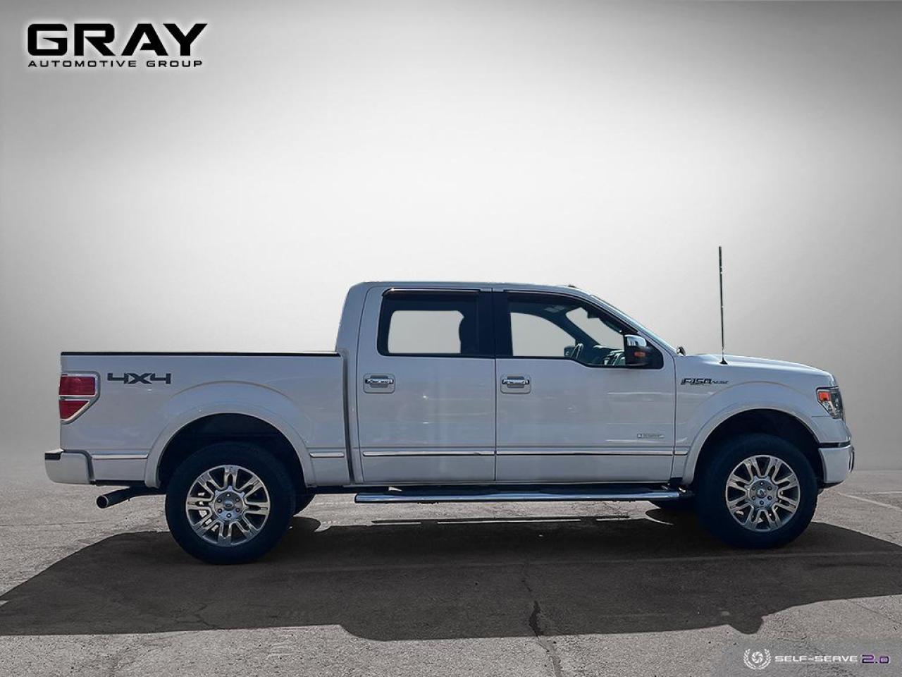 2013 Ford F-150 PLATINUM/4x4/NO ACCIDENTS/V6 - Photo #6