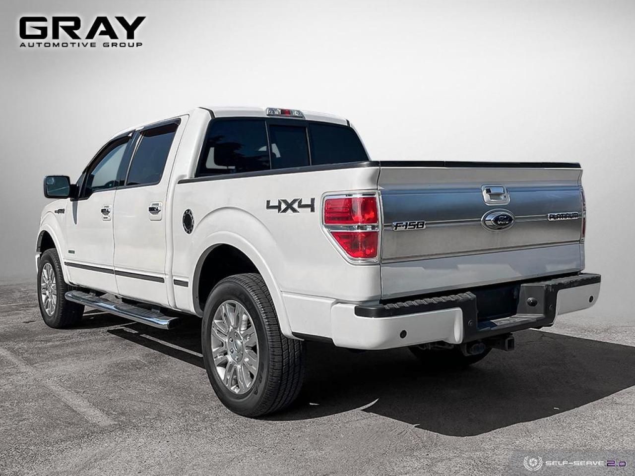 2013 Ford F-150 PLATINUM/4x4/NO ACCIDENTS/V6 Photo2