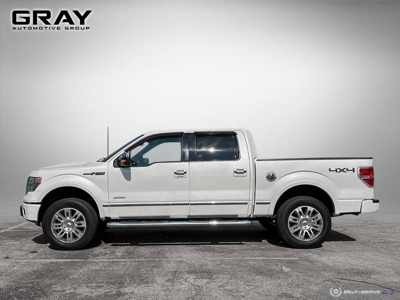 2013 Ford F-150 PLATINUM/4x4/NO ACCIDENTS/V6 - Photo #2