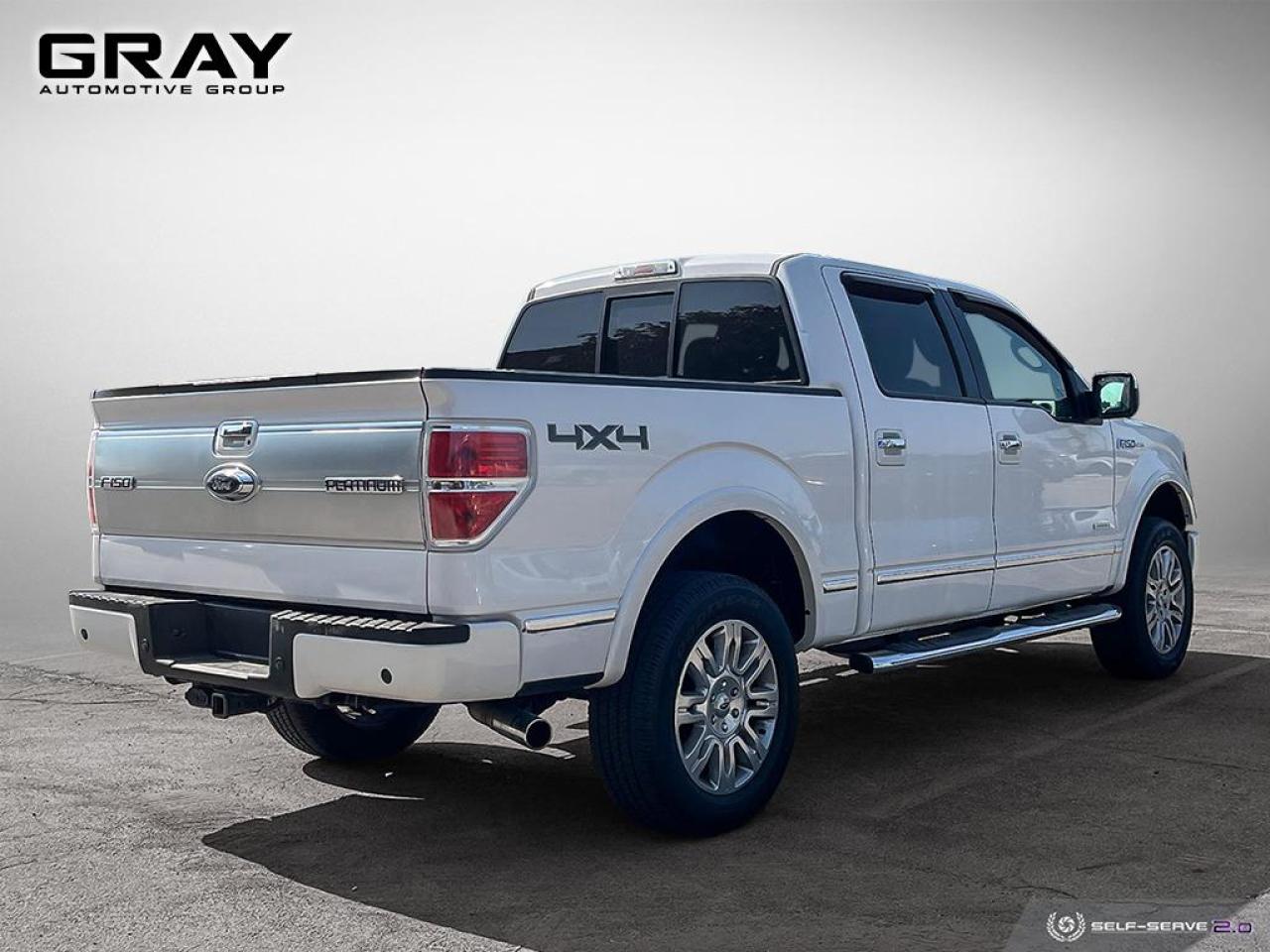 2013 Ford F-150 PLATINUM/4x4/NO ACCIDENTS/V6 - Photo #5