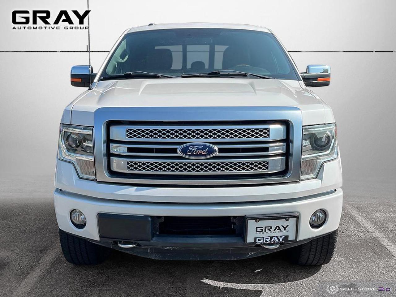 2013 Ford F-150 PLATINUM/4x4/NO ACCIDENTS/V6 - Photo #8