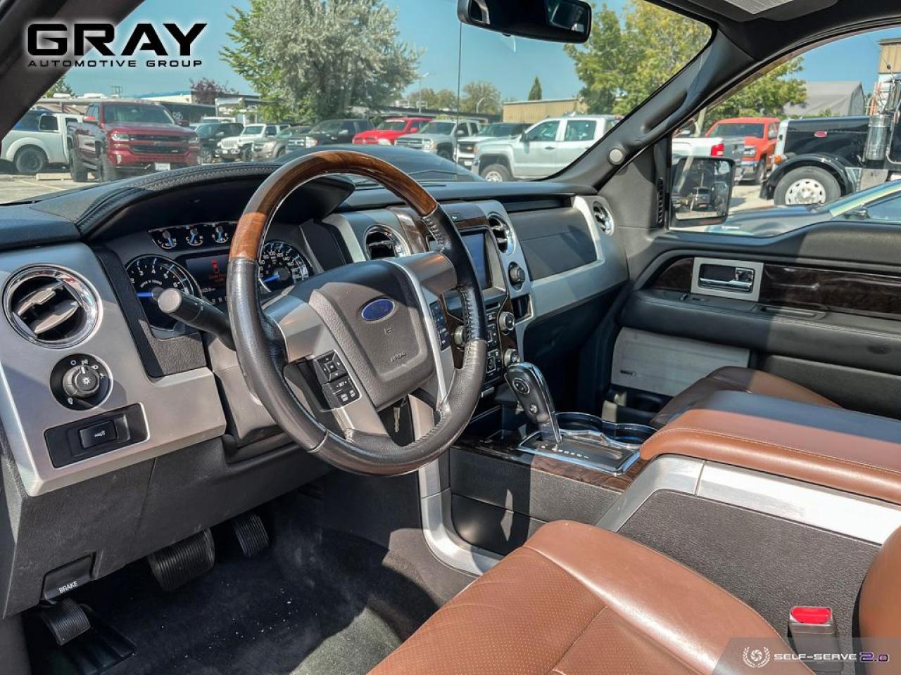 2013 Ford F-150 PLATINUM/4x4/NO ACCIDENTS/V6 - Photo #9