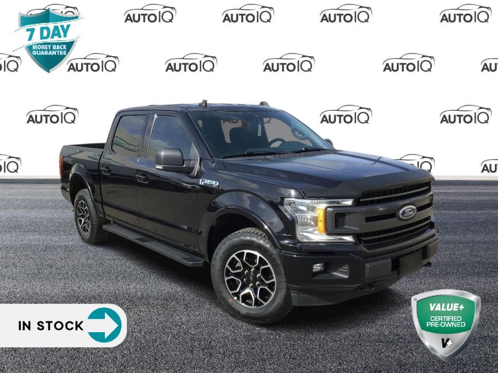 Used 2019 Ford F-150 XLT!! CERTIFIED! CREW CAB for Sale in Hamilton, Ontario