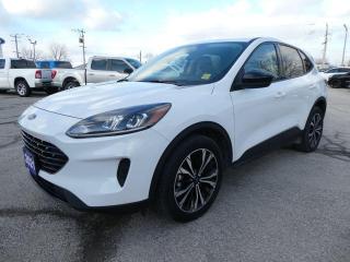 Used 2021 Ford Escape SE for sale in Essex, ON