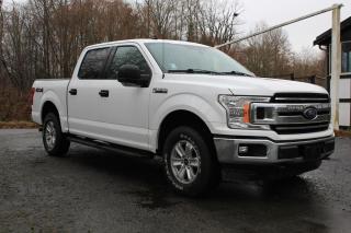Used 2019 Ford F-150 XLT for sale in Courtenay, BC