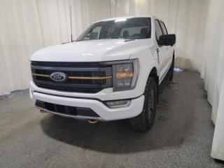 New 2023 Ford F-150 TREMOR 401A W/PRO LEVELING KIT & TONNEAU COVER for sale in Regina, SK