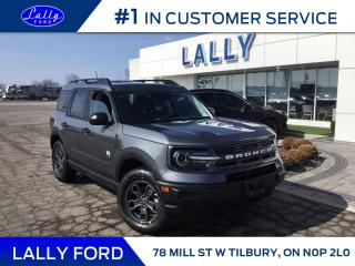 New 2024 Ford Bronco Sport BIG BEND for sale in Tilbury, ON