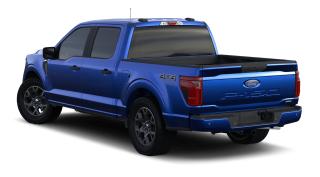 New 2024 Ford F-150 STX® for sale in Richibucto, NB