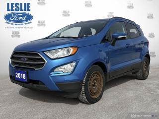 Used 2018 Ford EcoSport SE for sale in Harriston, ON