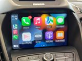 2017 Ford Escape SE W/Apperance PKG+ApplePlay+CLEAN CARFAX Photo88