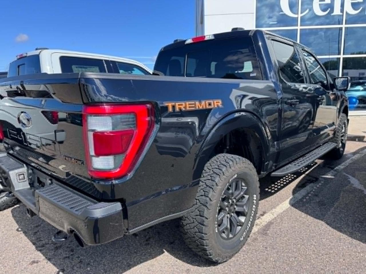2023 Ford F-150 Tremor Photo
