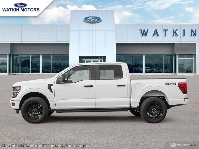 2024 Ford F-150 STX Photo2