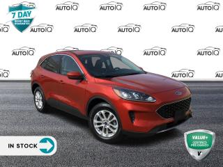 Used 2020 Ford Escape SE Great AWD SUV Value for sale in Hamilton, ON