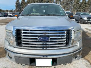 2010 Ford F-150 XLT Photo