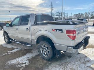 2010 Ford F-150 XLT Photo