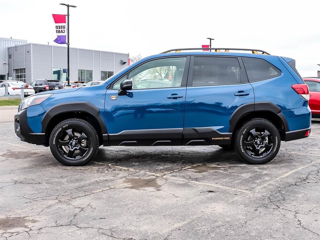 2024 Subaru Forester WILDERNESS Photo