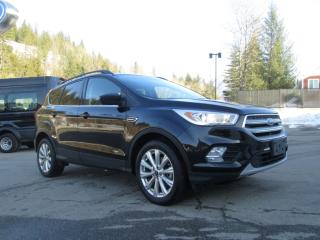 Used 2019 Ford Escape SEL for sale in Salmon Arm, BC