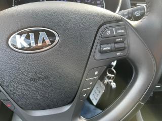 2015 Kia Forte5 AUTO, LOW KM, HEATED SEATS, BACK UP CAMERA,B-TOOTH - Photo #29