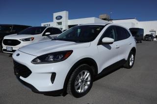 Used 2020 Ford Escape SE for sale in Kingston, ON