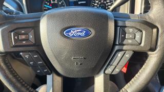 2020 Ford F-150 XLT Photo